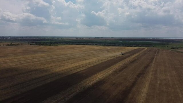 combine harvester harvests wheat in the field, video of drone movement in front
