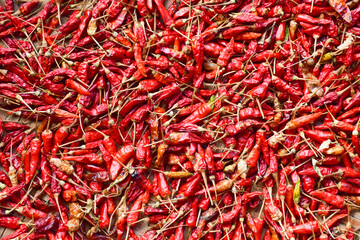 Fototapeta premium dried paprika
