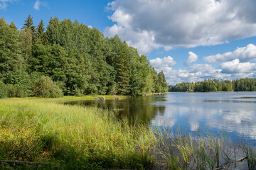 Fototapeta na wymiar Summer view of Liesjarvi National Park and Lake, Tammela, Finland