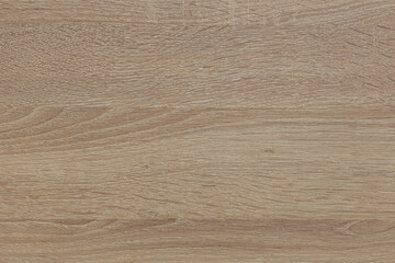 Light wood texture background. Copy Space