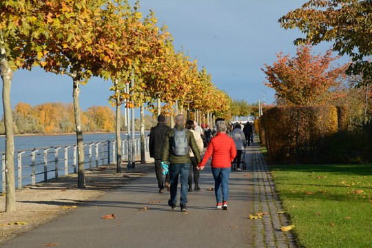 herbstpromenade am binger rheinufer