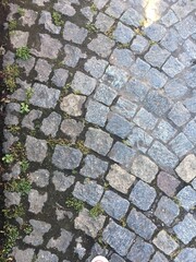 Adoquines de una calle