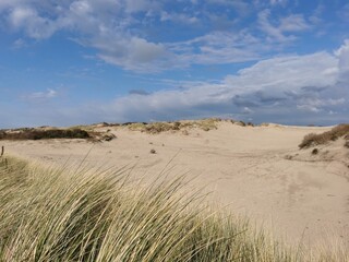 dunes in the desert