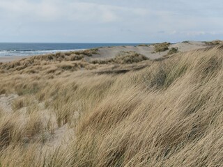 dunes