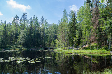 Fototapeta na wymiar View of The Mustalampi Pond in summer, Nuuksio National Park, Espoo, Finland