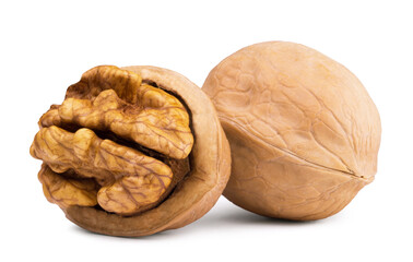 Ripe walnut and half of the nut isolated on a white background.