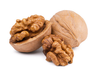 Ripe walnut and walnut kernels isolated on a white background.