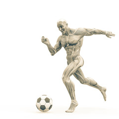 muscleman anatomy heroic body playing football in white background