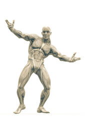 Obraz na płótnie Canvas muscleman anatomy heroic body dancing pose two in white background