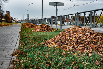 Fototapeta na wymiar Heaps of autumn leaves in city. Collected in a pile of fallen leaves on a city street.