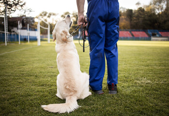 Time to study.Man training his dog.