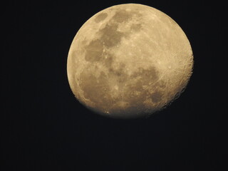 Obraz premium Full Moon, It is an astronomical body that orbits planet Earth. Natural satellite 