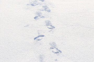 Footprints of a man on white snow in winter, winter background