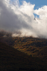 Landscape of trees, clouds and mountains, beech trees and wild pines, numbed by autumn, in the Moncayo Natural Park, Zaragoza, Aragon, Spain