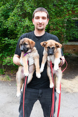 Man with two light-colored puppies in hands outdoor in the summer
