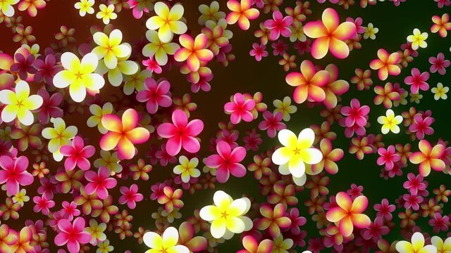 Decorative Floral Colorful Ambient Light Variety Plumeria Flowers Fly Scattered In The Air Background Seamless Loop Animation