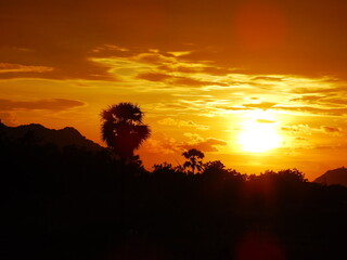 Beautiful Sunset scene over tall palm trees, colourful sky light in the evening.