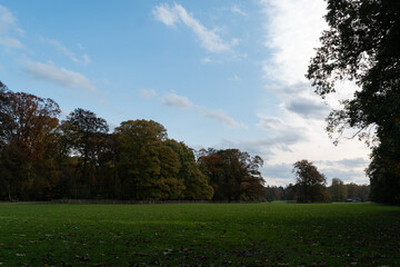Landscape shot of a park in the afternoon. Autumn colors and blue sky. 