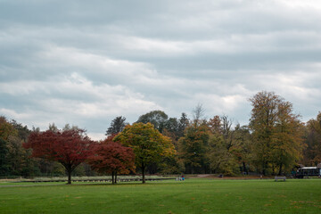 Landscape shot of a park in the afternoon. Autumn colors and cloudy sky.