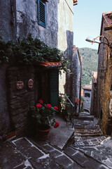 Valleriana