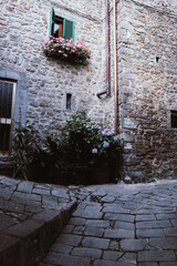 Valleriana