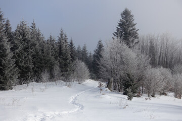 Winterstimmung in den Voralpen