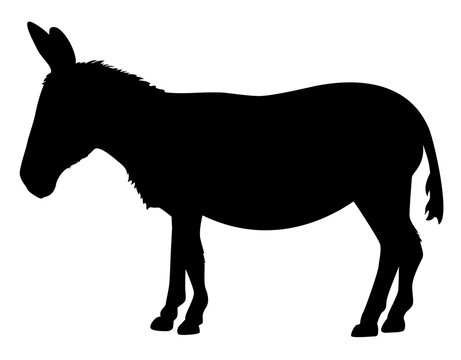 silhouette donkey vector
