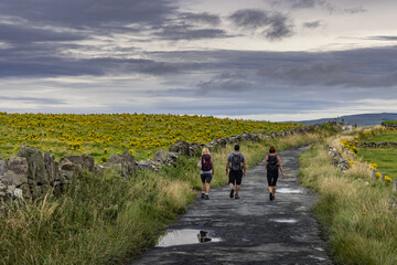 The Wild Atlantic Way, The Cliffs of Moher, The Burren Way hiking trail, The Burren, County Clare, Ireland