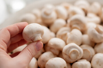 mushroom champignon in hand on a blurry background of others with other mushrooms