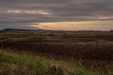 sunset over the field
