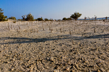 plowed field in autumn