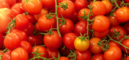 A lot of red tomatoes, texture background. Pile of fresh ripe cherry tomatoes pattern, high quality photo