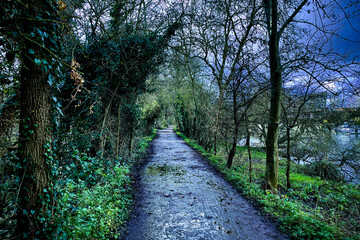 path in the park