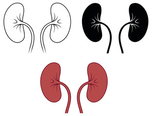 Pair of Kidneys Clipart Set - Outline, Silhouette and Color