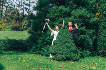 Happy and joyful the bride and groom raise their hands from behind the decorative spruce