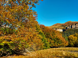 Selva Irati en Otoño