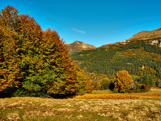 Oto&ntilde;o en Izaba Isaba