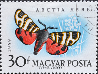 Hungary circa 1959: A post stamp printed in Hungary showing a butterfly: Banded Tiger (Arctia...