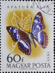 Hungary circa 1959: A post stamp printed in Hungary showing a butterfly: Lesser Purple Emperor...