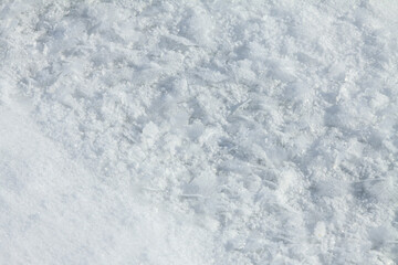 Snow background. Large snowflakes. Snow crystals.Frozen large snowflakes for texture. 