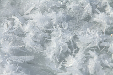 Snow background. Large snowflakes. Snow crystals.Frozen large snowflakes for texture. 