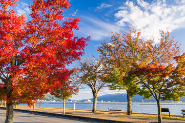 鮮やかな紅葉の時期 諏訪湖
