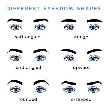 Set of different eyebrow shapes.