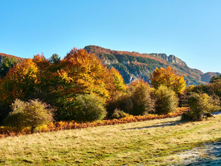 Selva de Irati en Otoño