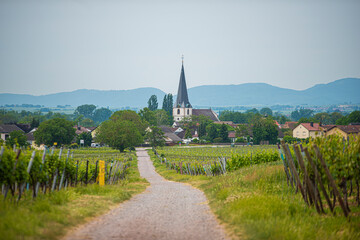 Blick auf Venningen in der Pfalz