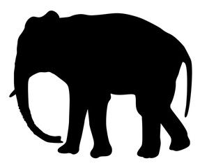 silhouette of an elephant  vector