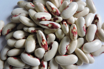 Colourful seeds of Polish Independence beans in close-up, white background
