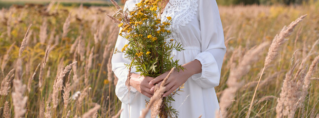 A woman holds a bouquet of wild flowers. A woman collecting flowers / herbs in nature. Copy space, banner