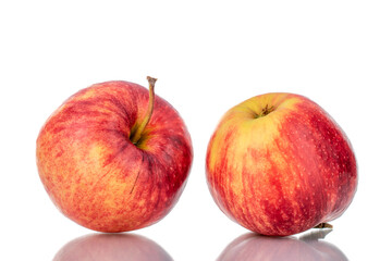 Two juicy red apples, close-up isolated on white.