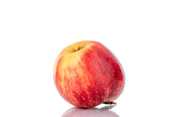 One juicy red apple, close-up isolated on white.